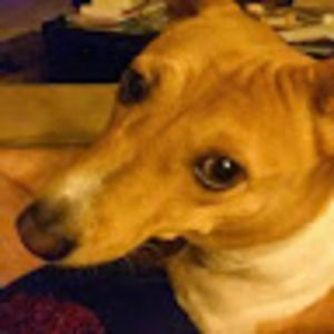 Meet your Posher, Nathaniel